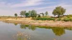 A serene river flows in the foreground, with a house and lush trees visible in the background under a clear sky.