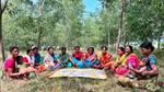 a group of people sitting on a blanket in a grassy area