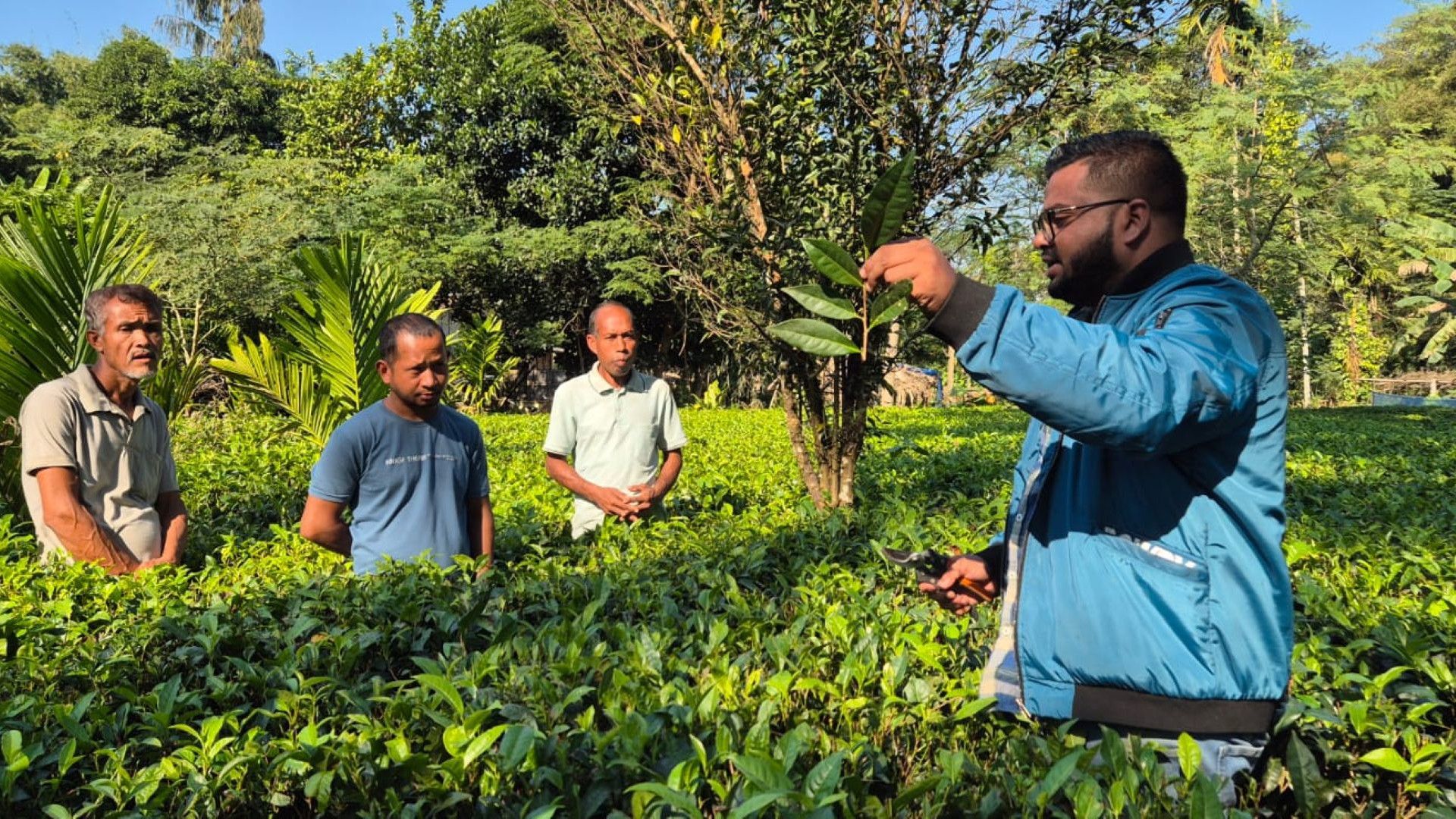Tea workers learning about regenerative agricultural practices.