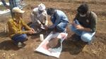 A pic where samples of soil are being collected from the field
