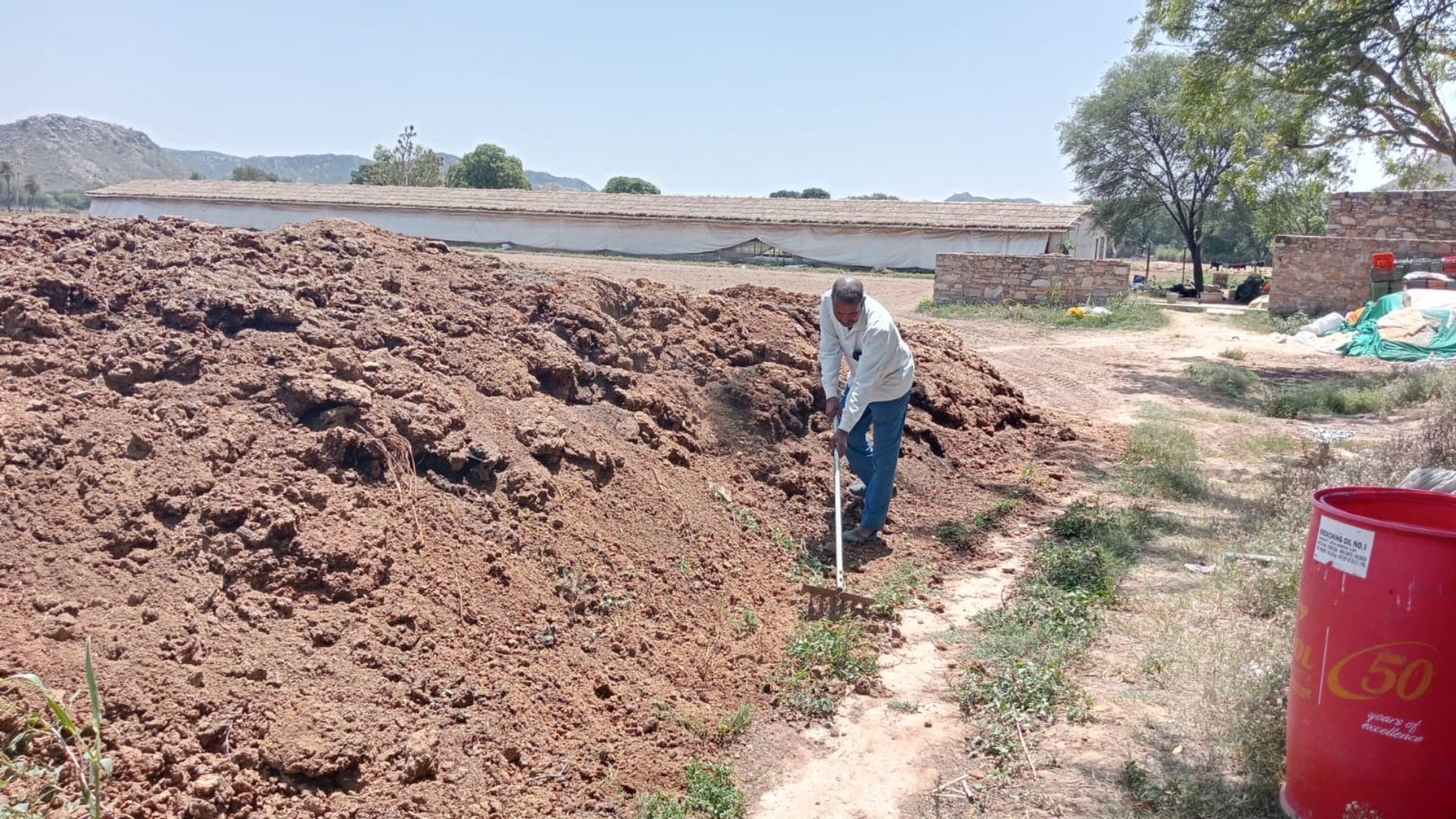 Worker rakes a large mound of soil at a rural agricultural site.
