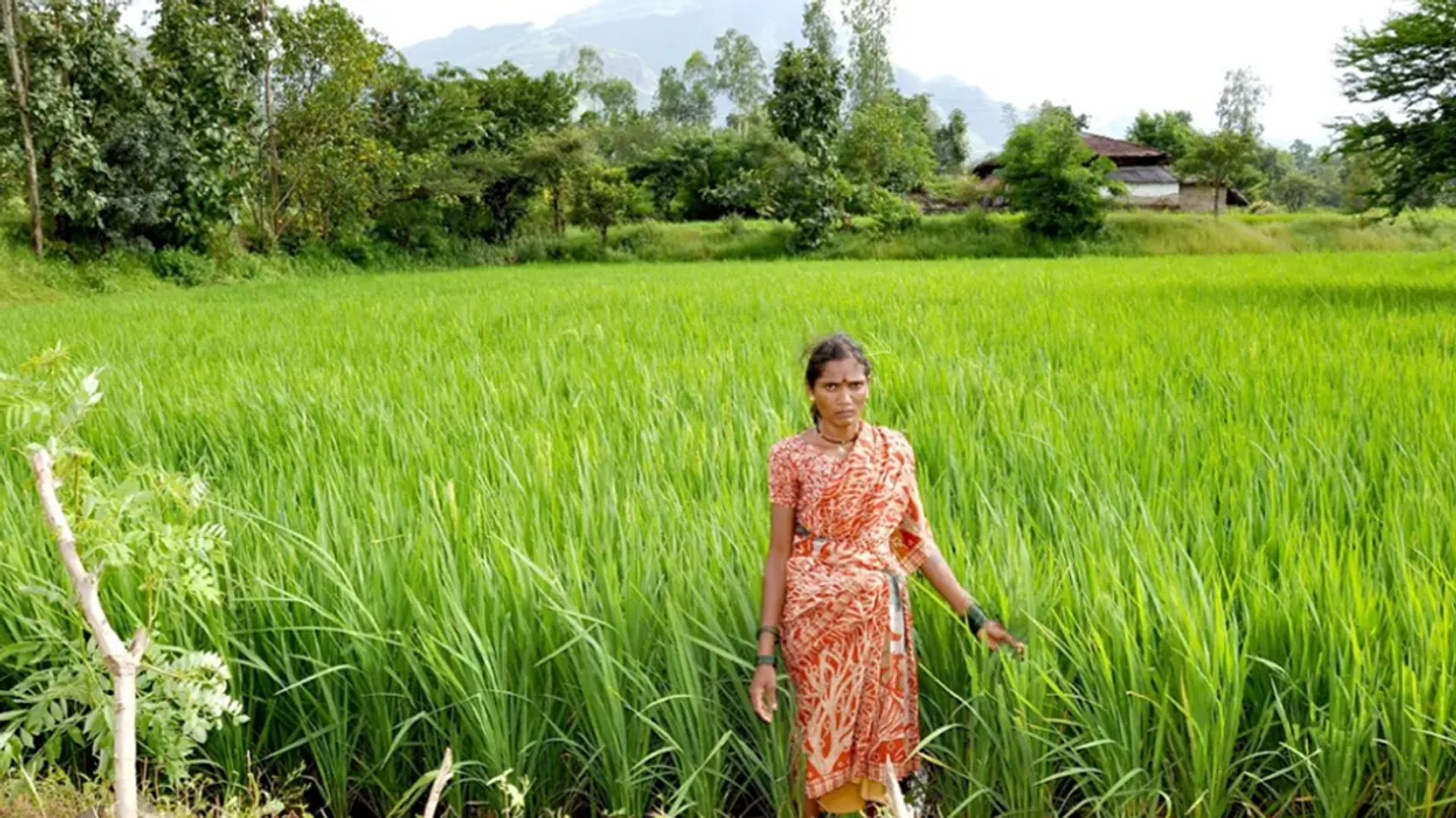 Hindustan Unilever sustainable agriculture