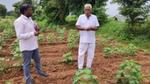 A pic taken in a vegetable farm where a man is interacting with a farmer