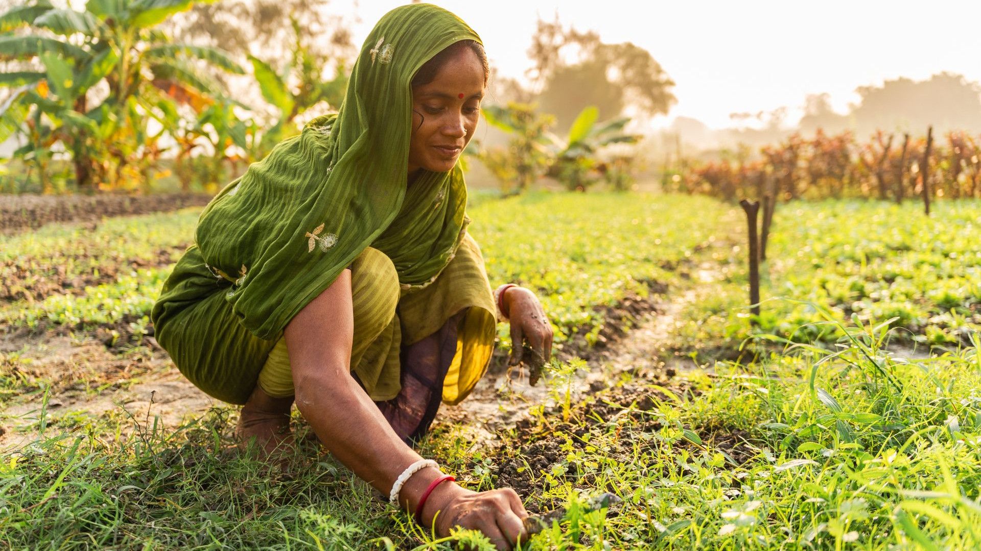 A woman planting seeds in a field.
