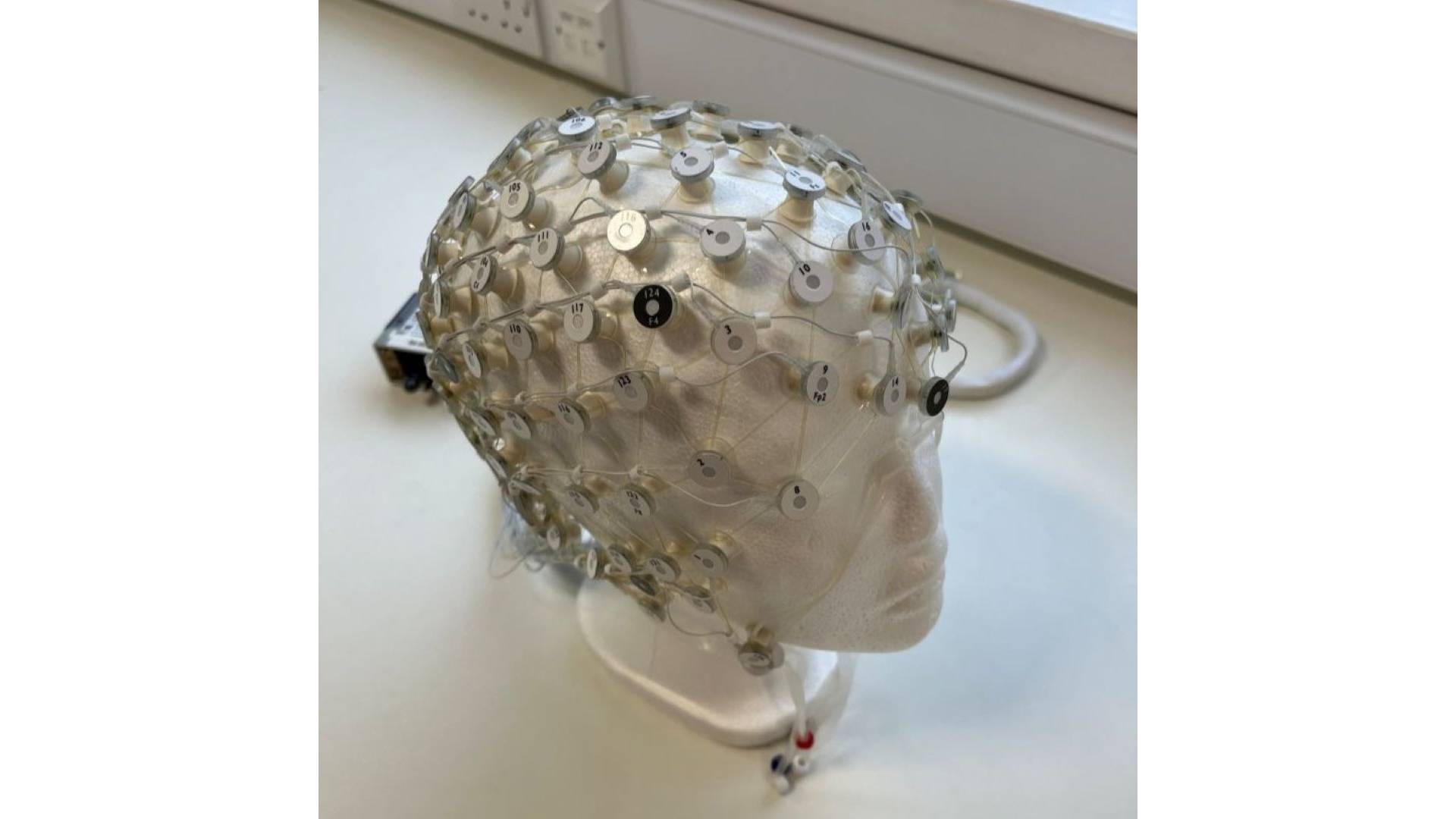 An EEG headset on a mannequin head. This technology is used in neurosignalling to track brain signals affected by sensory triggers.
