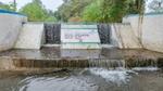 Small dam with signage and water flowing over it amidst greenery.