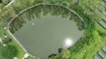 Aerial view of a pond surrounded by trees and grass.
