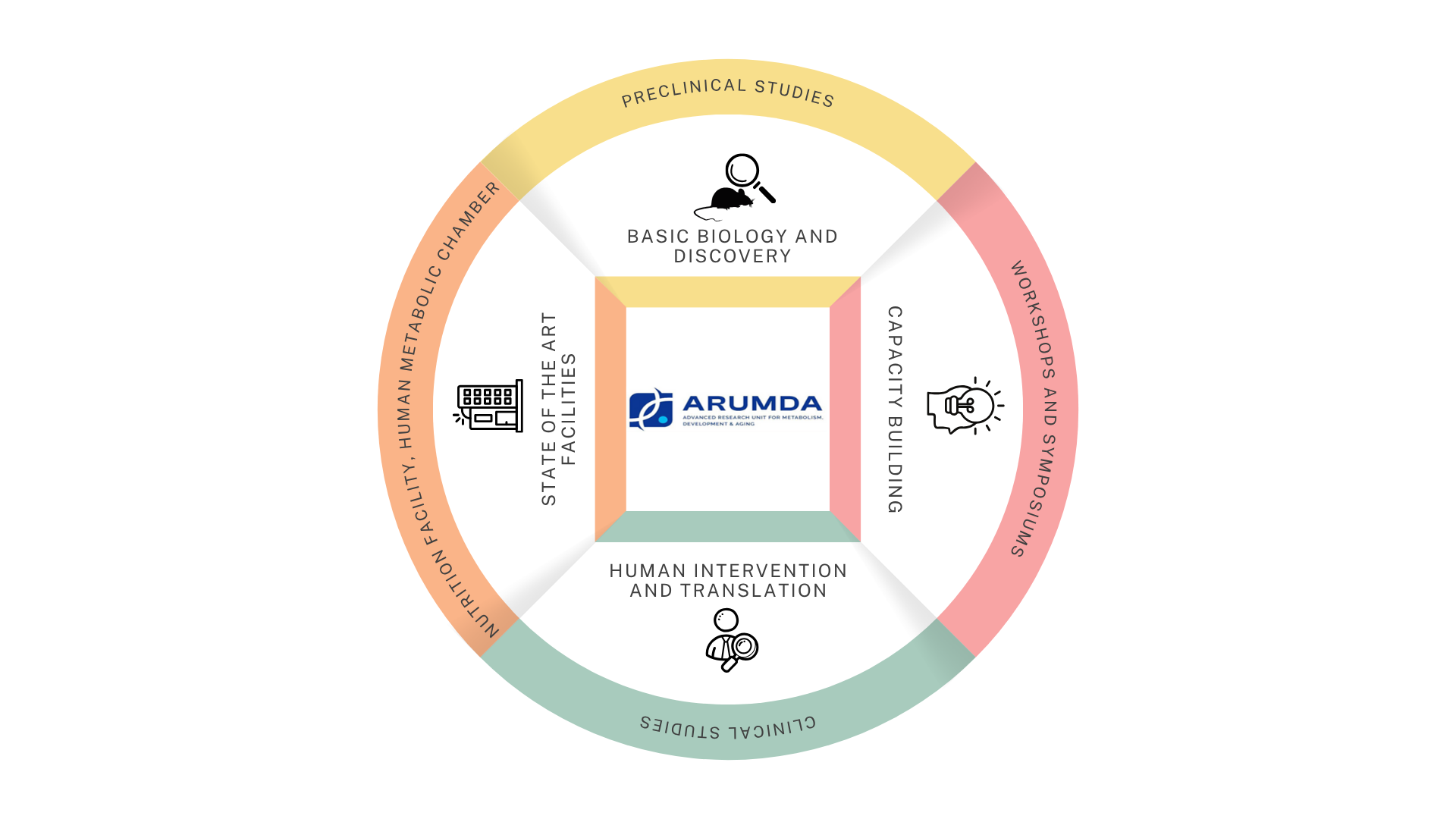 Graphic illustration of ARUMDA