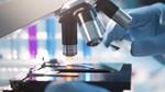 Image of an HUL employee’s hands placing a glass slab under a microscope.