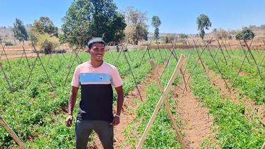Smiling farmer standing in a green crop field with wooden supports under a clear blue sky.