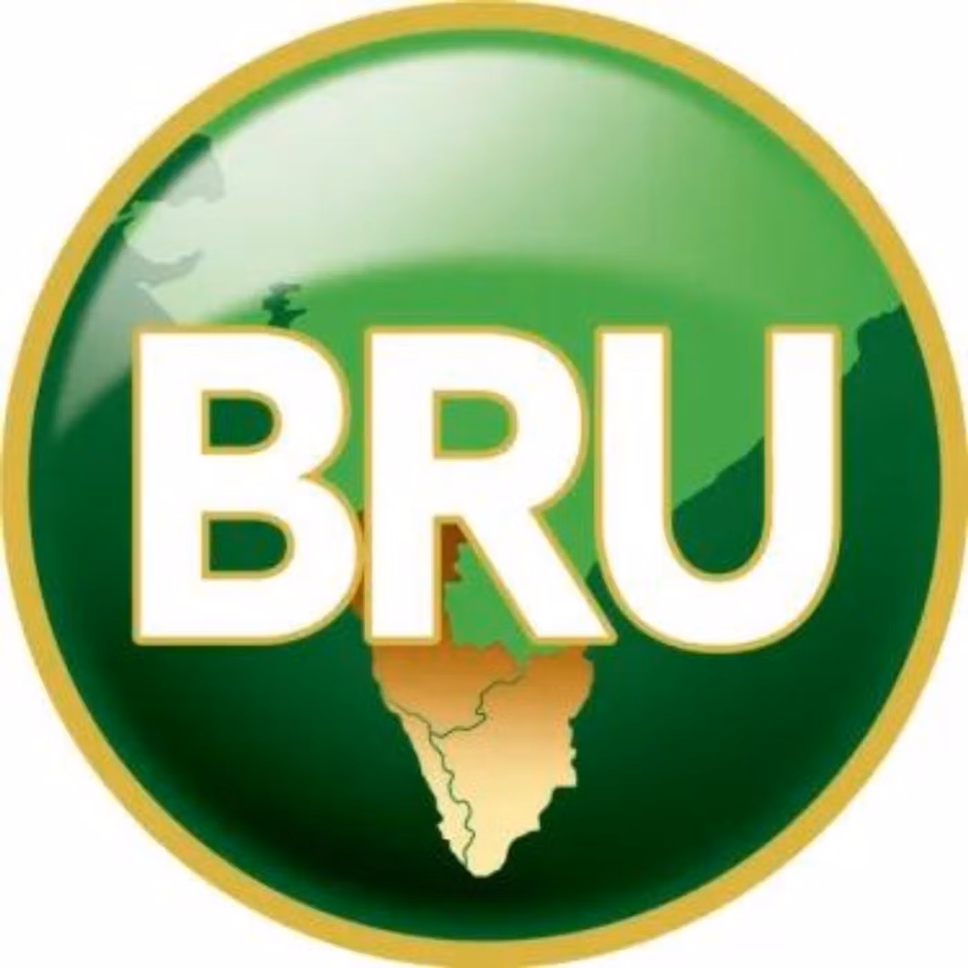 Image of the Bru logo