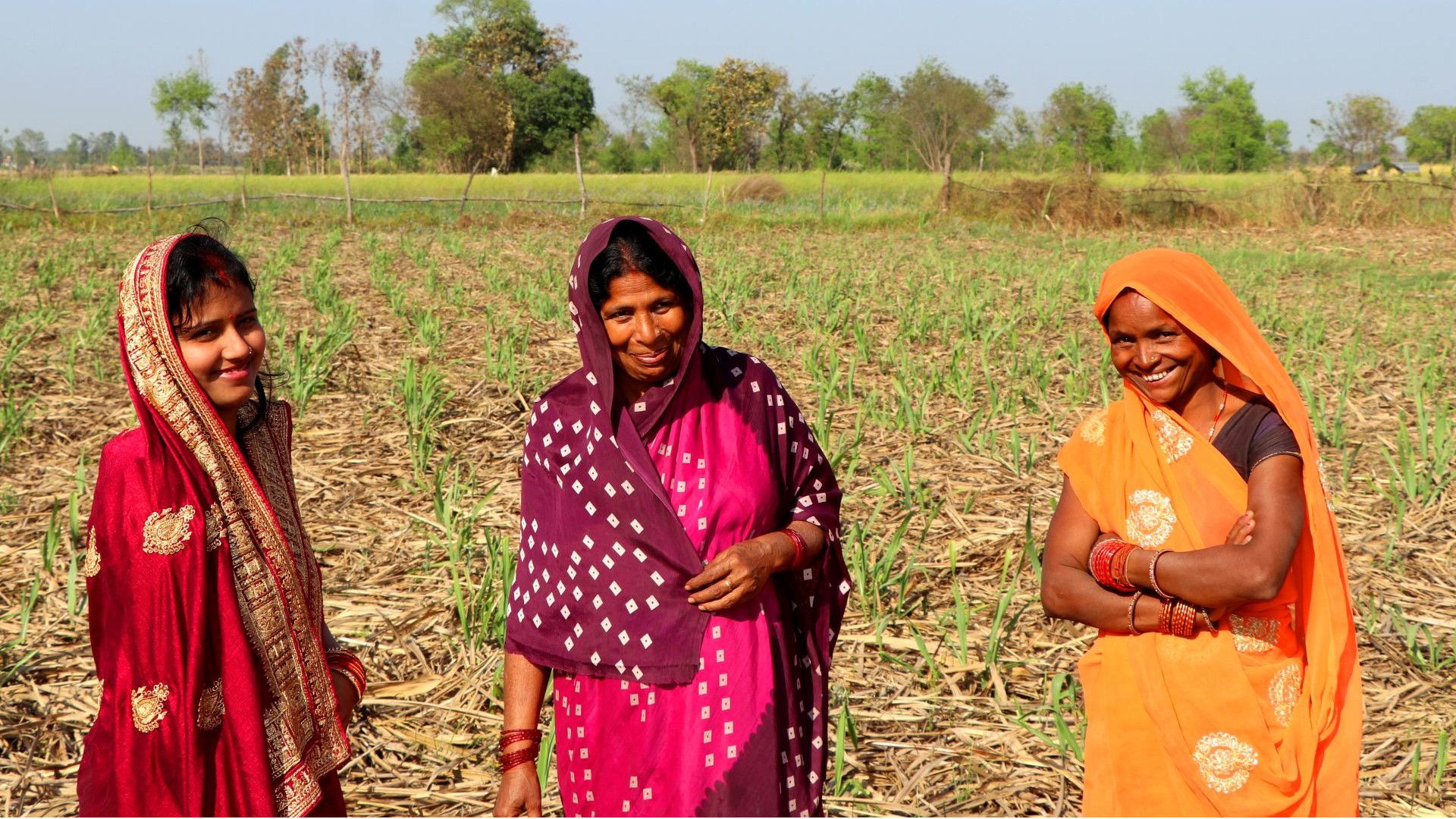 Three women standing in a field, wearing bright garments, with trees in the background.