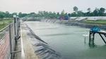 An image of a rainwater harvesting pond at HUL’s Doom Dooma Site in Assam, India.