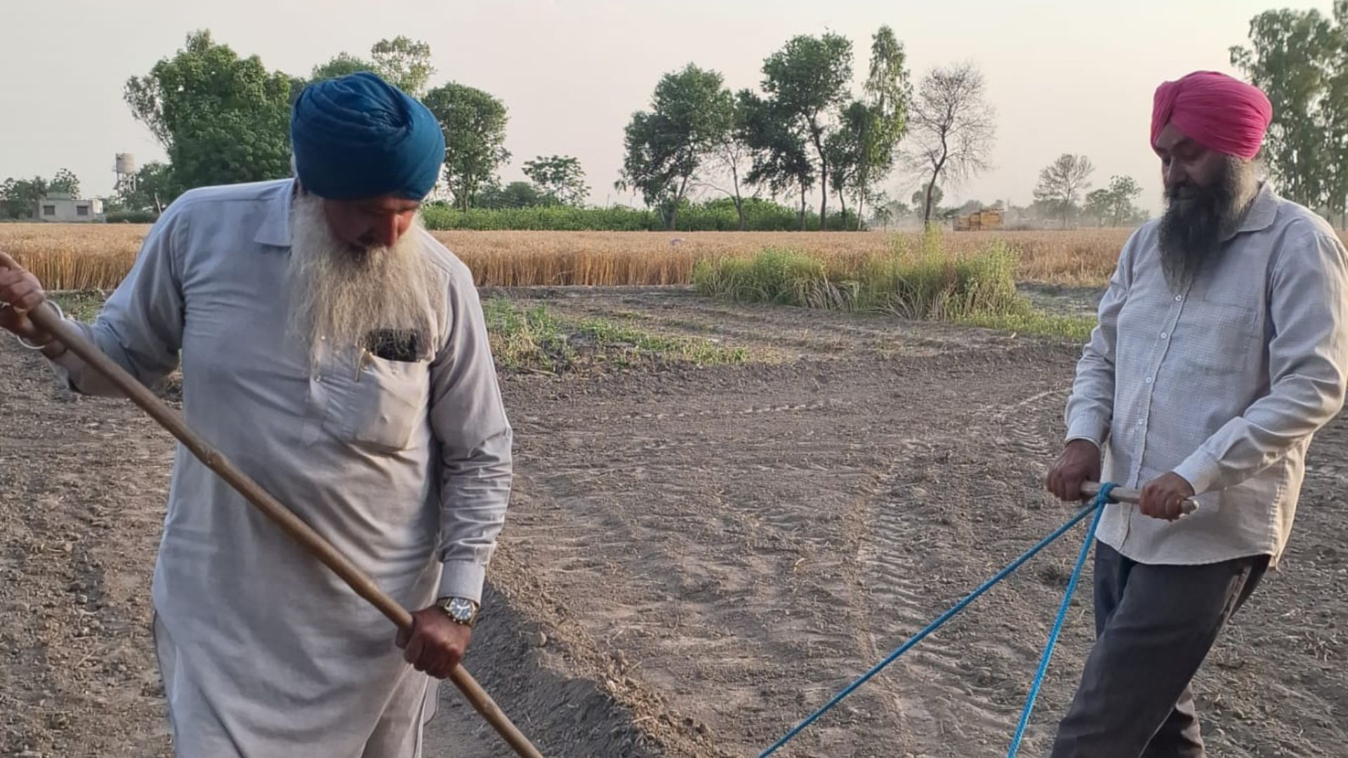 Two Sikh farmers work together in a cultivated field.