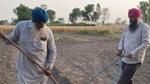 Two Sikh farmers work together in a cultivated field.