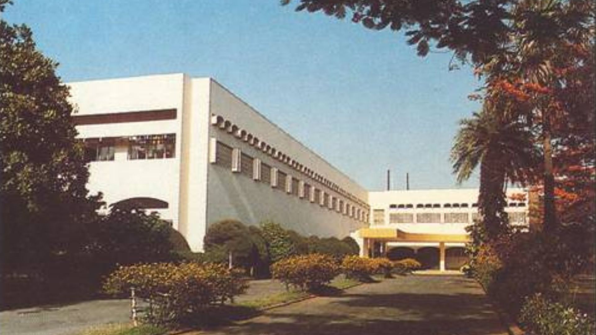 White corporate building surrounded by landscaped gardens and mature trees