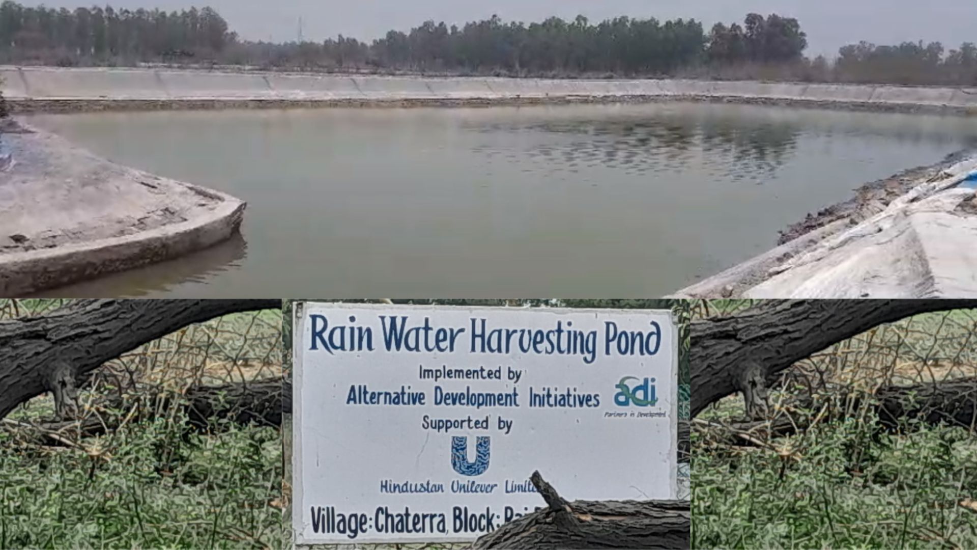 A picture of a rainwater harvesting pond at HUL's factory in Sonepat 
