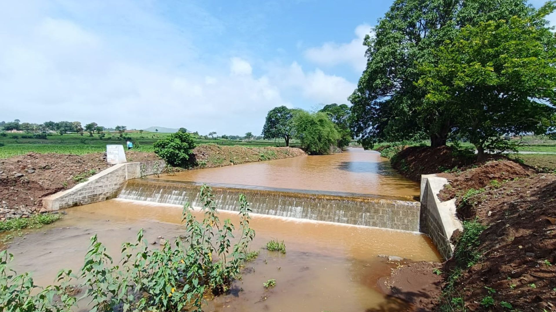 Small concrete irrigation weir channeling muddy river water through green farmland under a clear sky.