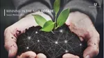 Image of hands holding a plant